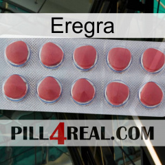 Eregra 18